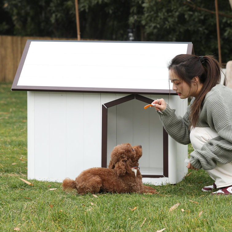 Wayfair insulated dog outlet house